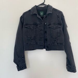 wild fable Black Cropped Distressed Denim Jacket